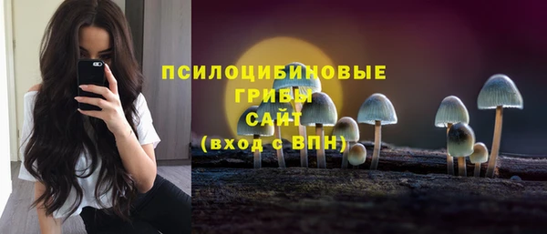 ешки Алексеевка
