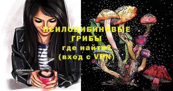 эйфоретик Алексин